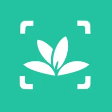 植物识别2025官方新版图标