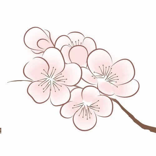 杏花文创2025官方新版图标