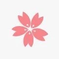 樱花动画电影2025官方新版图标
