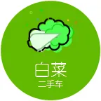 白菜二手车2025官方新版图标